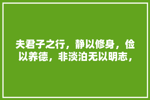 夫君子之行，静以修身，俭以养德，非淡泊无以明志，非宁静无以致远。这句话是什么意思「君子之行,静以修身」