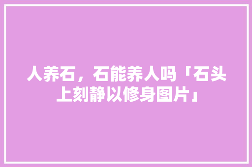 人养石，石能养人吗「石头上刻静以修身图片」