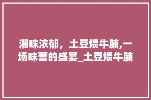 湘味浓郁，土豆煨牛腩,一场味蕾的盛宴_土豆煨牛腩湘菜的做法大全