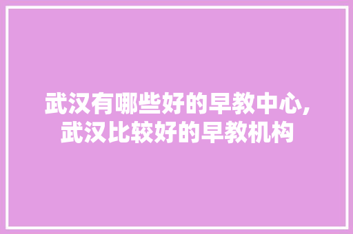 武汉有哪些好的早教中心,武汉比较好的早教机构