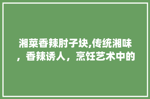 湘菜香辣肘子块,传统湘味，香辣诱人，烹饪艺术中的味蕾盛宴_湘菜香辣肘子块的做法 湘菜香辣肘子块,传统湘味，香辣诱人，烹饪艺术中的味蕾盛宴_湘菜香辣肘子块的做法 饮食大全