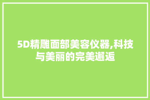 5D精雕面部美容仪器,科技与美丽的完美邂逅 母婴育儿