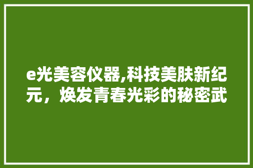 e光美容仪器,科技美肤新纪元，焕发青春光彩的秘密武器 母婴育儿