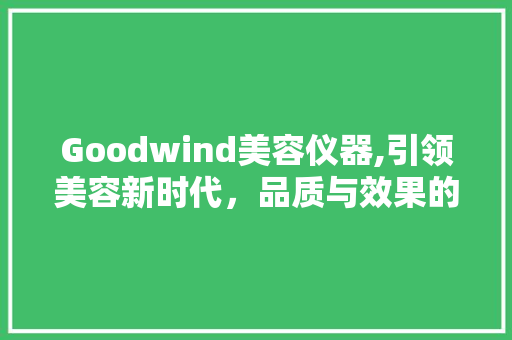 Goodwind美容仪器,引领美容新时代，品质与效果的完美结合 美体修身