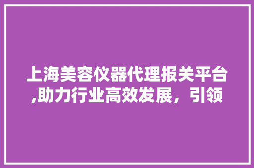 上海美容仪器代理报关平台,助力行业高效发展，引领美容仪器市场新潮流 饮食大全