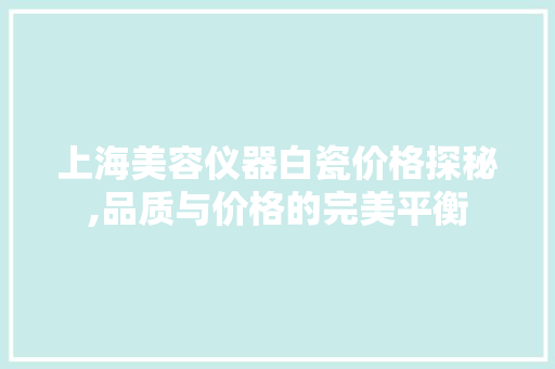 上海美容仪器白瓷价格探秘,品质与价格的完美平衡 美体修身