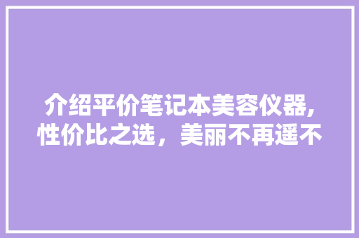 介绍平价笔记本美容仪器,性价比之选,美丽不再遥不可及 介绍平价笔记本美容仪器,性价比之选,美丽不再遥不可及