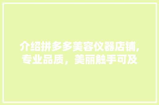 介绍拼多多美容仪器店铺,专业品质，美丽触手可及