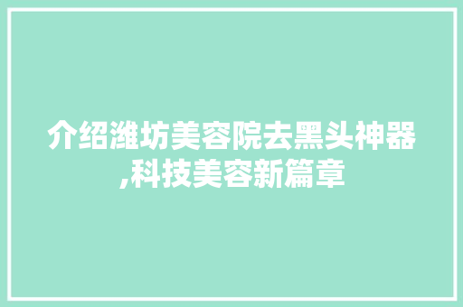 介绍潍坊美容院去黑头神器,科技美容新篇章