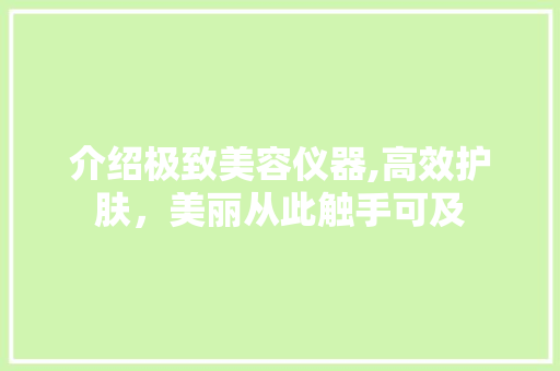 介绍极致美容仪器,高效护肤，美丽从此触手可及