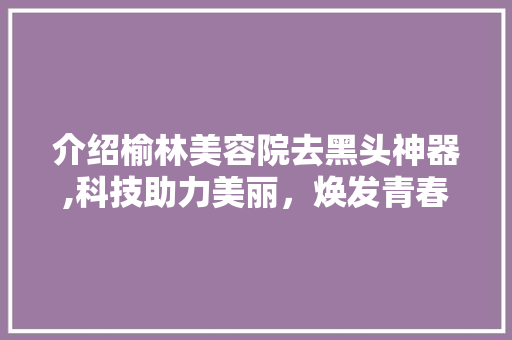 介绍榆林美容院去黑头神器,科技助力美丽，焕发青春光彩 婚姻情感