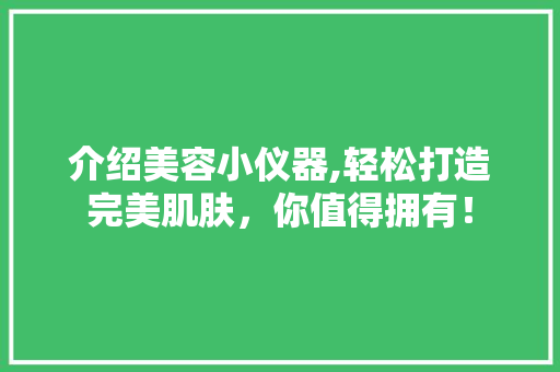 介绍美容小仪器,轻松打造完美肌肤，你值得拥有！