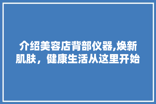 介绍美容店背部仪器,焕新肌肤，健康生活从这里开始