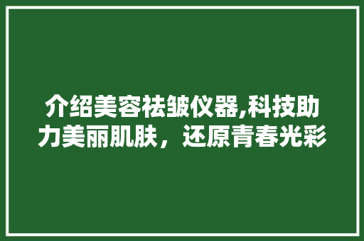 介绍美容祛皱仪器,科技助力美丽肌肤，还原青春光彩