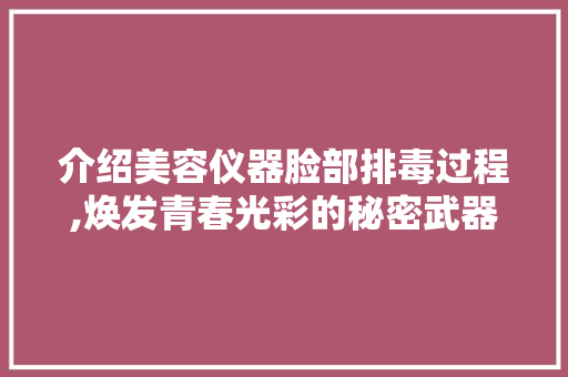 介绍美容仪器脸部排毒过程,焕发青春光彩的秘密武器