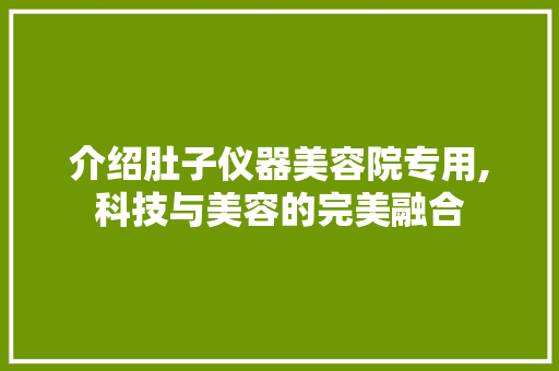 介绍肚子仪器美容院专用,科技与美容的完美融合