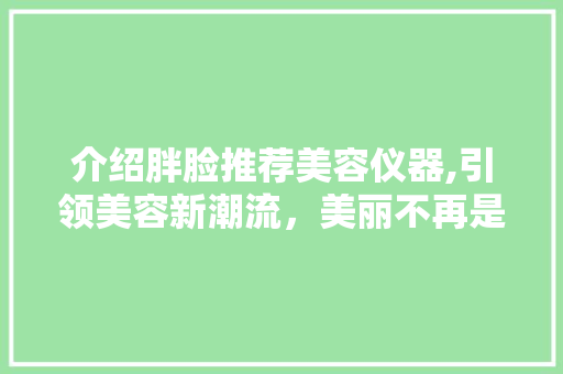 介绍胖脸推荐美容仪器,引领美容新潮流，美丽不再是奢望