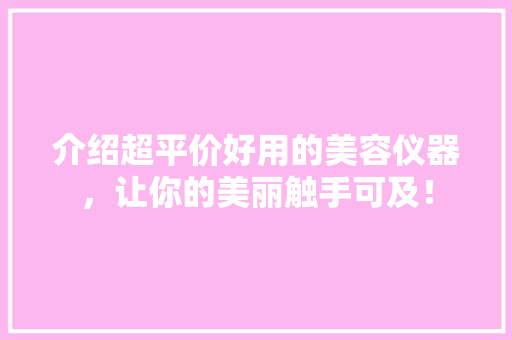 介绍超平价好用的美容仪器，让你的美丽触手可及！