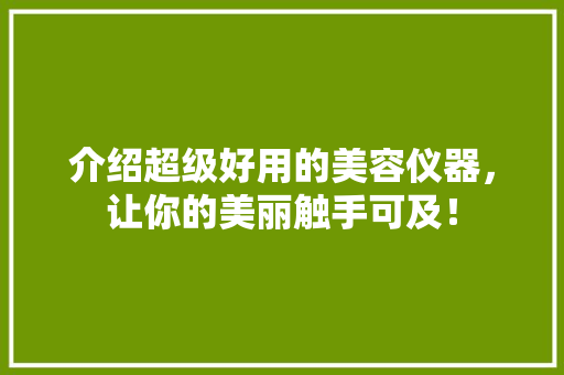 介绍超级好用的美容仪器，让你的美丽触手可及！