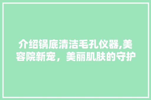 介绍锅底清洁毛孔仪器,美容院新宠，美丽肌肤的守护神 综合便民