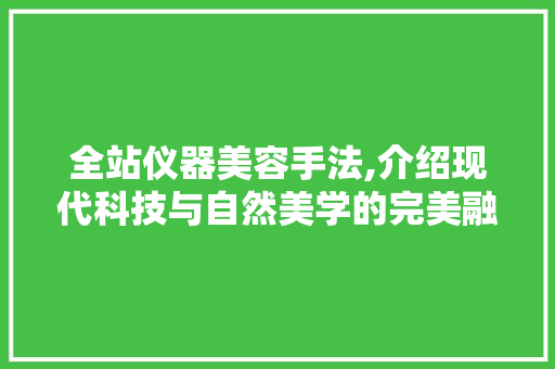 全站仪器美容手法,介绍现代科技与自然美学的完美融合