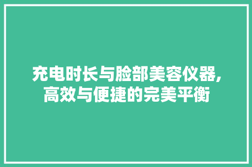 充电时长与脸部美容仪器,高效与便捷的完美平衡