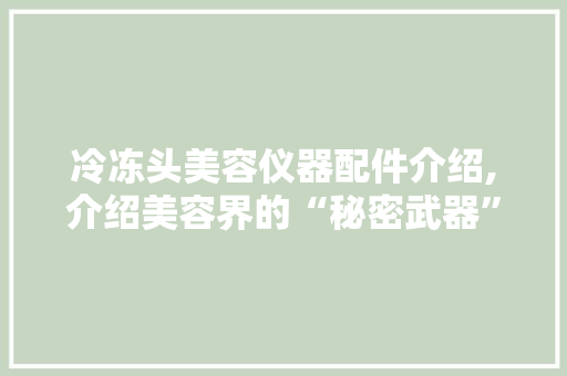 冷冻头美容仪器配件介绍,介绍美容界的“秘密武器”