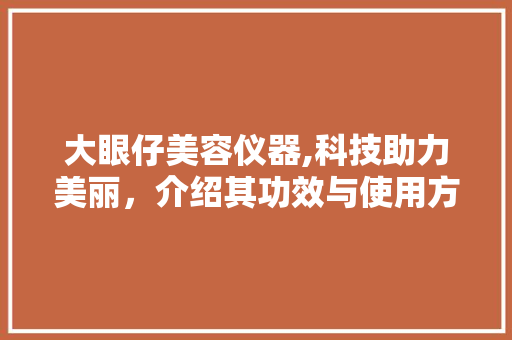 大眼仔美容仪器,科技助力美丽，介绍其功效与使用方法