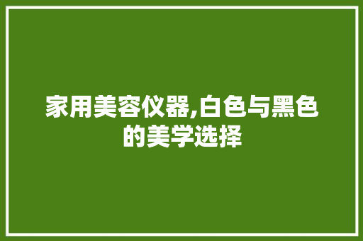 家用美容仪器,白色与黑色的美学选择
