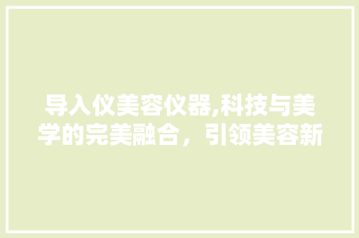 导入仪美容仪器,科技与美学的完美融合，引领美容新风尚 母婴育儿