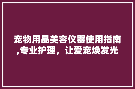 宠物用品美容仪器使用指南,专业护理，让爱宠焕发光彩