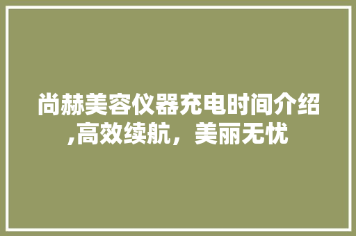尚赫美容仪器充电时间介绍,高效续航，美丽无忧