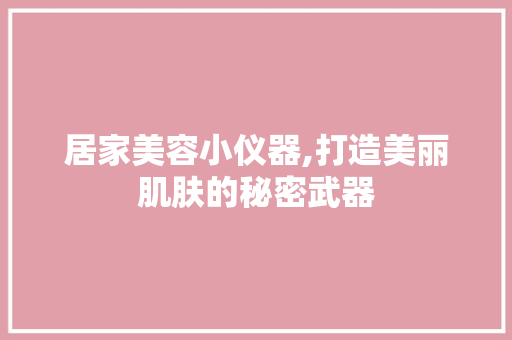 居家美容小仪器,打造美丽肌肤的秘密武器 美体修身