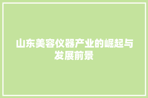 山东美容仪器产业的崛起与发展前景