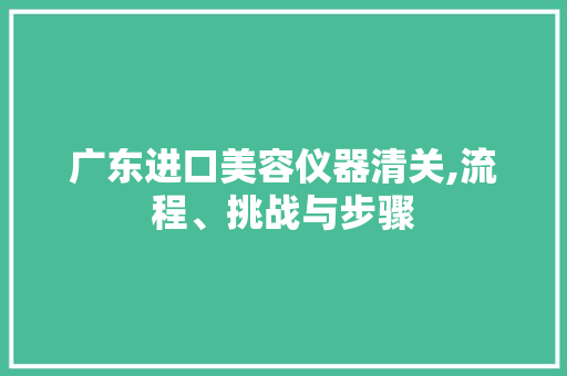 广东进口美容仪器清关,流程、挑战与步骤 母婴育儿