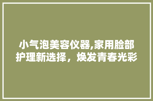 小气泡美容仪器,家用脸部护理新选择，焕发青春光彩