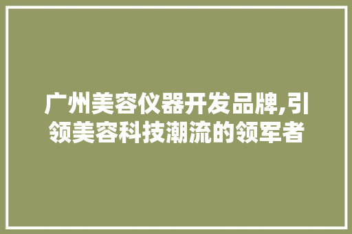 广州美容仪器开发品牌,引领美容科技潮流的领军者