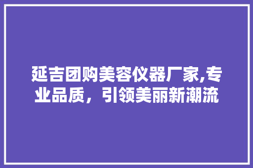 延吉团购美容仪器厂家,专业品质，引领美丽新潮流