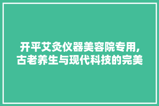 开平艾灸仪器美容院专用,古老养生与现代科技的完美融合