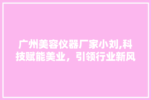 广州美容仪器厂家小刘,科技赋能美业，引领行业新风尚