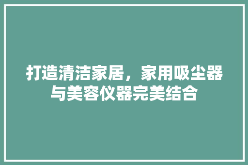 打造清洁家居，家用吸尘器与美容仪器完美结合 母婴育儿