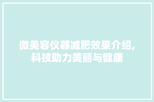 微美容仪器减肥效果介绍,科技助力美丽与健康