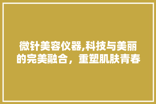 微针美容仪器,科技与美丽的完美融合，重塑肌肤青春轮廓 综合便民