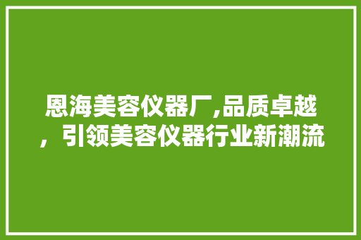 恩海美容仪器厂,品质卓越，引领美容仪器行业新潮流 美体修身
