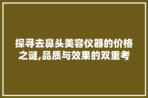 探寻去鼻头美容仪器的价格之谜,品质与效果的双重考量 饮食大全