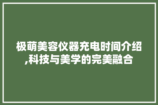 极萌美容仪器充电时间介绍,科技与美学的完美融合