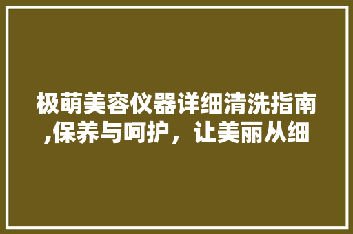 极萌美容仪器详细清洗指南,保养与呵护，让美丽从细节开始 综合便民