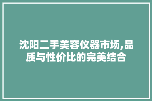 沈阳二手美容仪器市场,品质与性价比的完美结合
