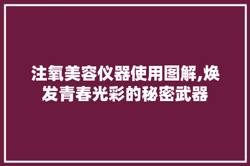 注氧美容仪器使用图解,焕发青春光彩的秘密武器