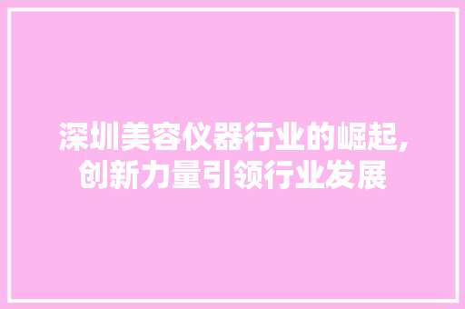 深圳美容仪器行业的崛起,创新力量引领行业发展 美体修身
